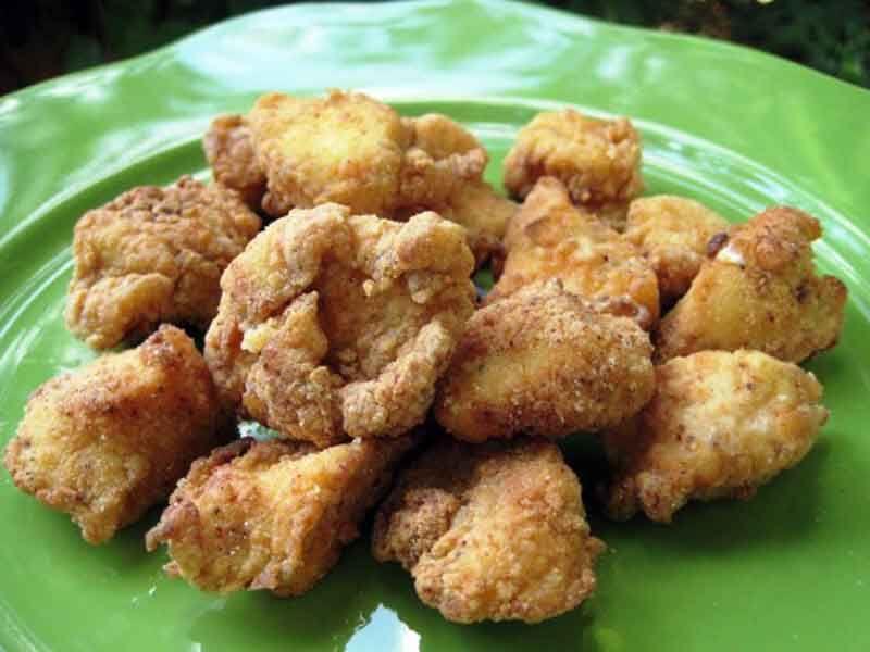 Alligator Bites